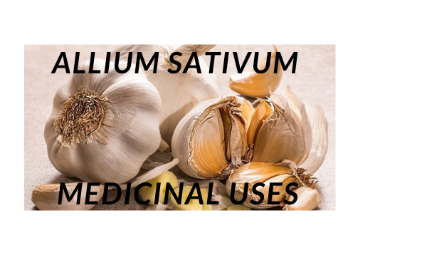 Allium sativum: Medicinal Uses, Side Effects, Chemical and Pharmacological Activities