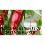 Medicinal Benefits of Cayenne Pepper